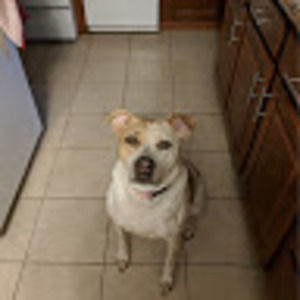 Meet your Posher, Ashleigh